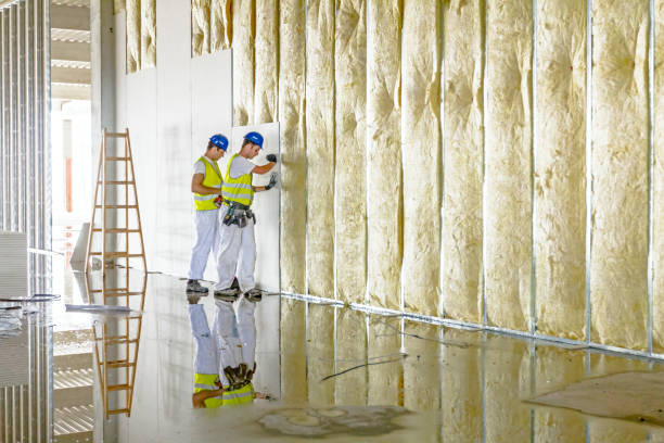 Best Insulation Replacement Services  in Piermont, NY